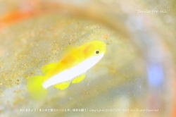ショップのイメージ画像5