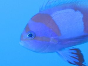 ショップのイメージ画像5