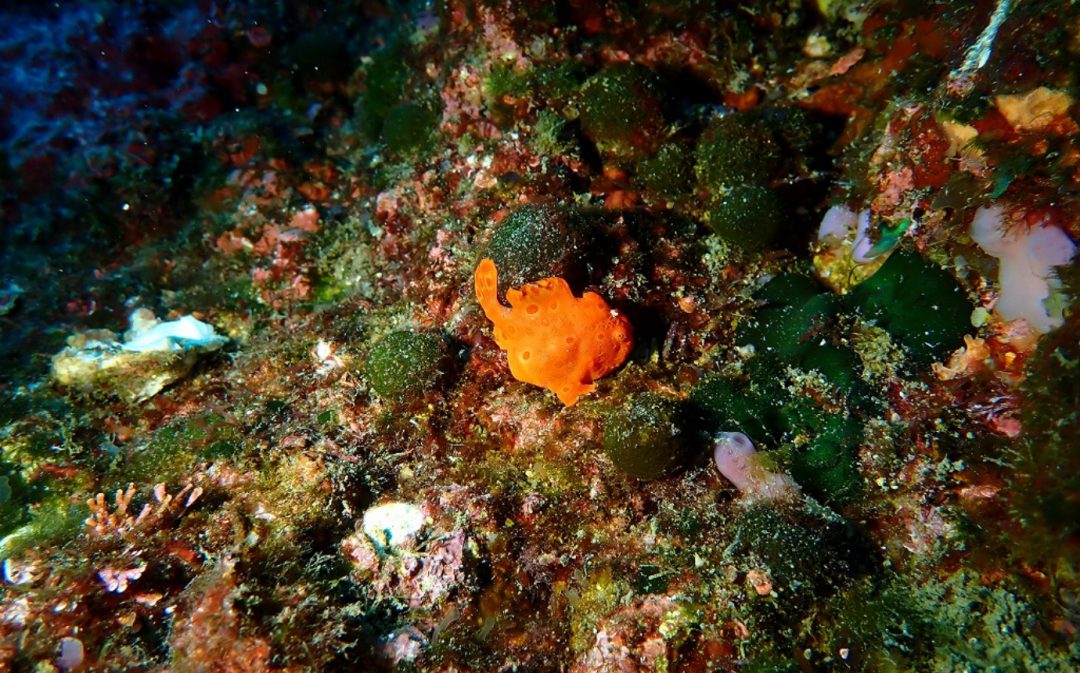 熱海マリンスポーツクラブのカバー画像1