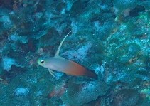 ショップのイメージ画像4